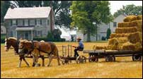 Amish Experience at Plain and Fancy Farm