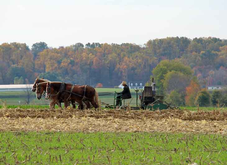 Lancaster PA Bed and Breakfast Fall Colors