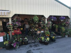 Flowers at Famer's Market